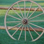 What is a book promotion wheel